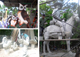 <hr>Esculturas hechas con cemento Holcim <hr>Esculturas hechas con cemento Holcim